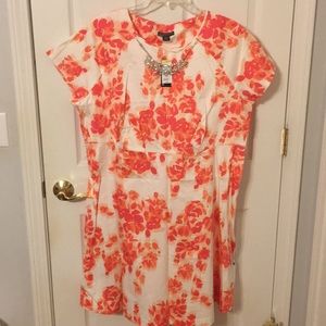 Covington fall color dress Size 22W